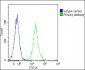 CD14 Antibody (N-term)